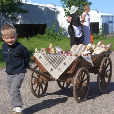 VÕTSIME KÄRDLA KOHVIKUTEPÄEVAL JALAD ALLA…